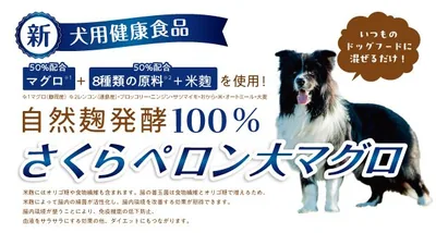 さくらペロン（大マグロ）